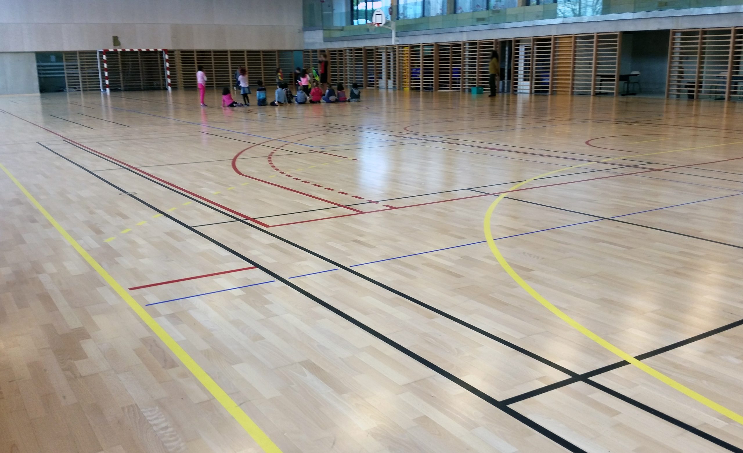 Sports Floor Australia For Dance & Sport Show Works